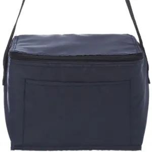 NNSA - 6 Pack Cooler Lunch Bag