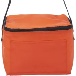 NNSA - 6 Pack Cooler Lunch Bag