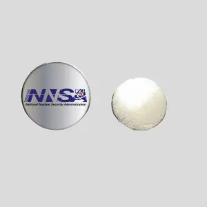 NNSA - Seal Lapel Pins Min 100 pcs