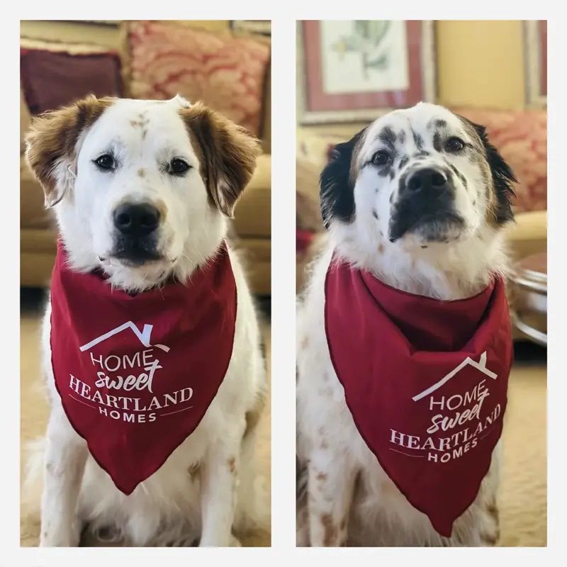 heartland homes dog bandana