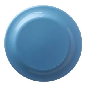 NVR Mortgage - 9.25 In. Solid Color Flying Discs