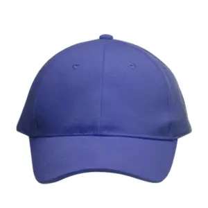 NVR Manufacturing - Embroidered 6 Panel Buckle Baseball Caps (Min 12 pcs)