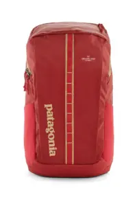 Heartland Homes - Patagonia Black Hole Pack 25L