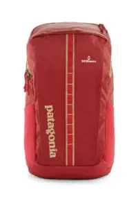 NVHomes - Patagonia Black Hole Pack 25L