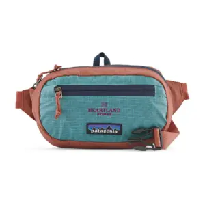 Heartland Homes - Patagonia Ultralight Black Hole Mini Hip Pack 1L