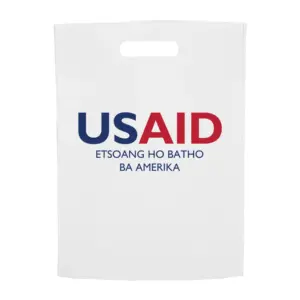 USAID Sesotho - Non-Woven Exhibition Tote Bags (11"x14")