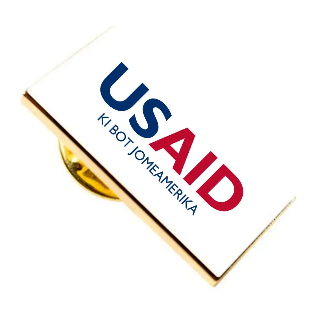 USAID Luo Brandmark Lapel Pins with Military Clutch Rectangular Min 100 pcs