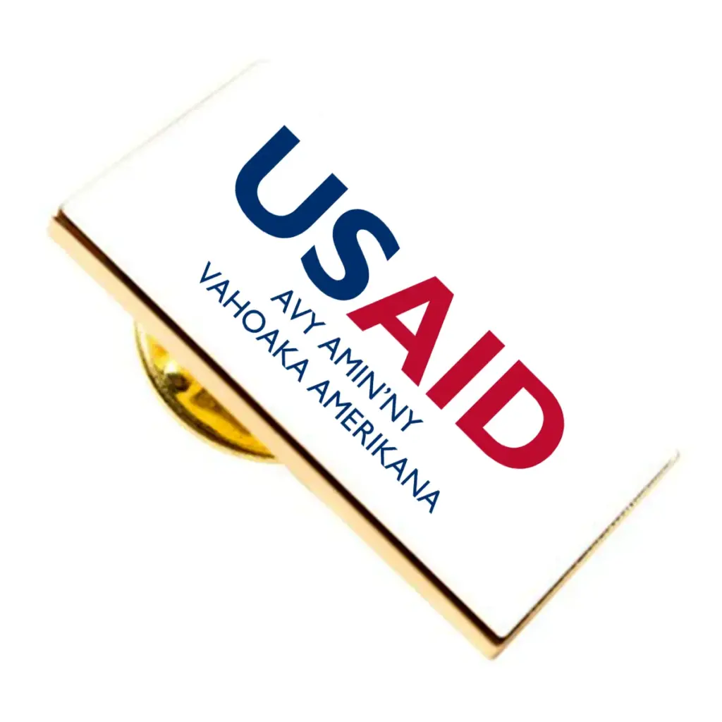 USAID Malagasy Brandmark Lapel Pins with Military Clutch Rectangular Min 100 pcs