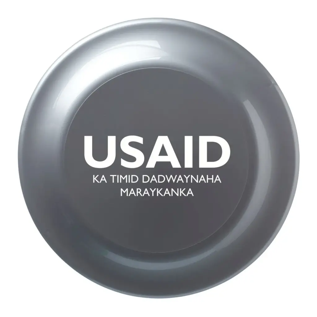 USAID Somali - 9.25 In. Solid Color Flying Discs