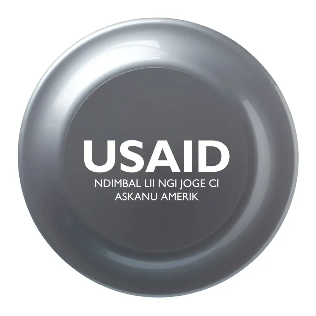 USAID Wolof - 9.25 In. Solid Color Flying Discs