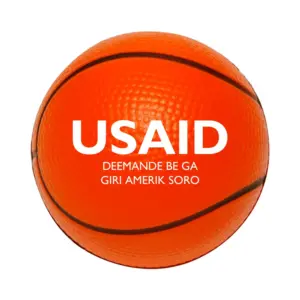 USAID Soninke - Basketball Stress Ball