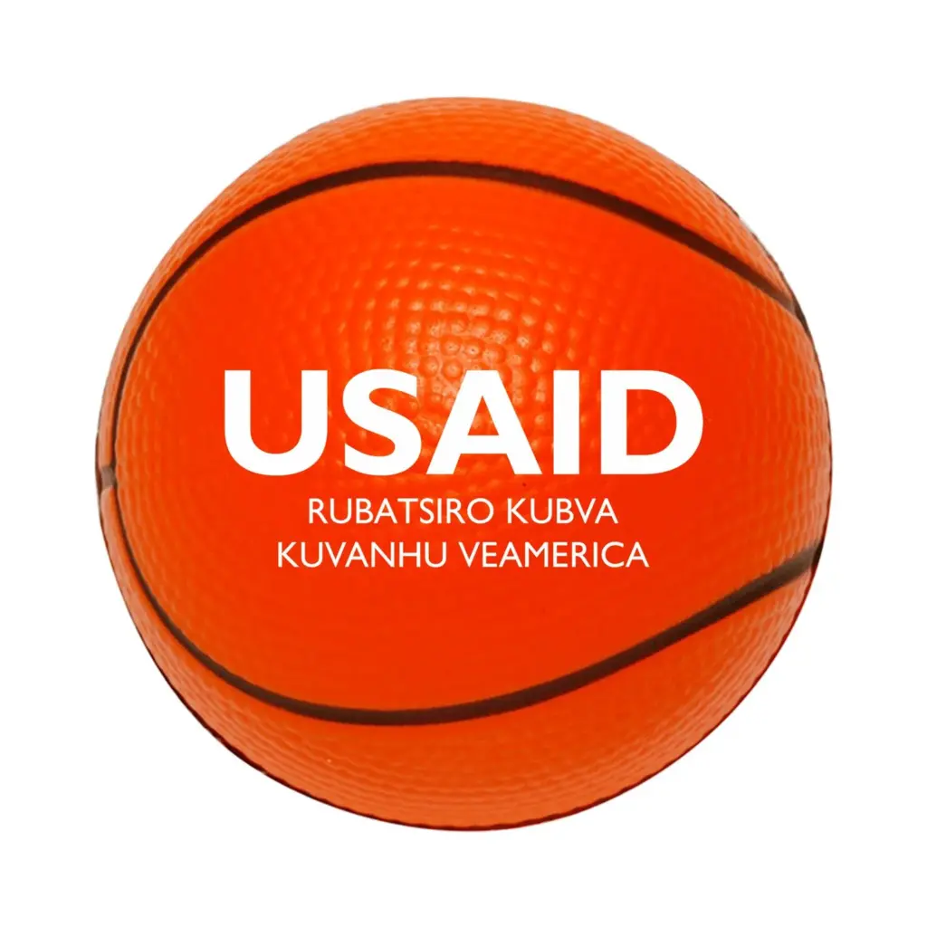 USAID Chishona - Basketball Stress Ball