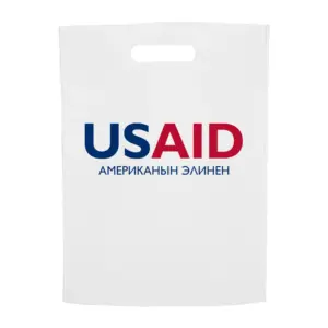 USAID Kyrgyz - Non-Woven Exhibition Tote Bags (11"x14")