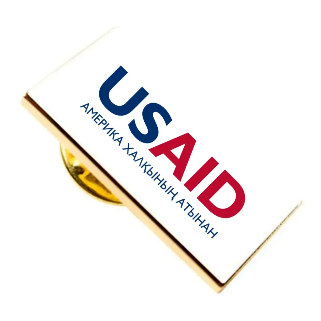 USAID Kazakh Brandmark Lapel Pins with Military Clutch Rectangular Min 100 pcs