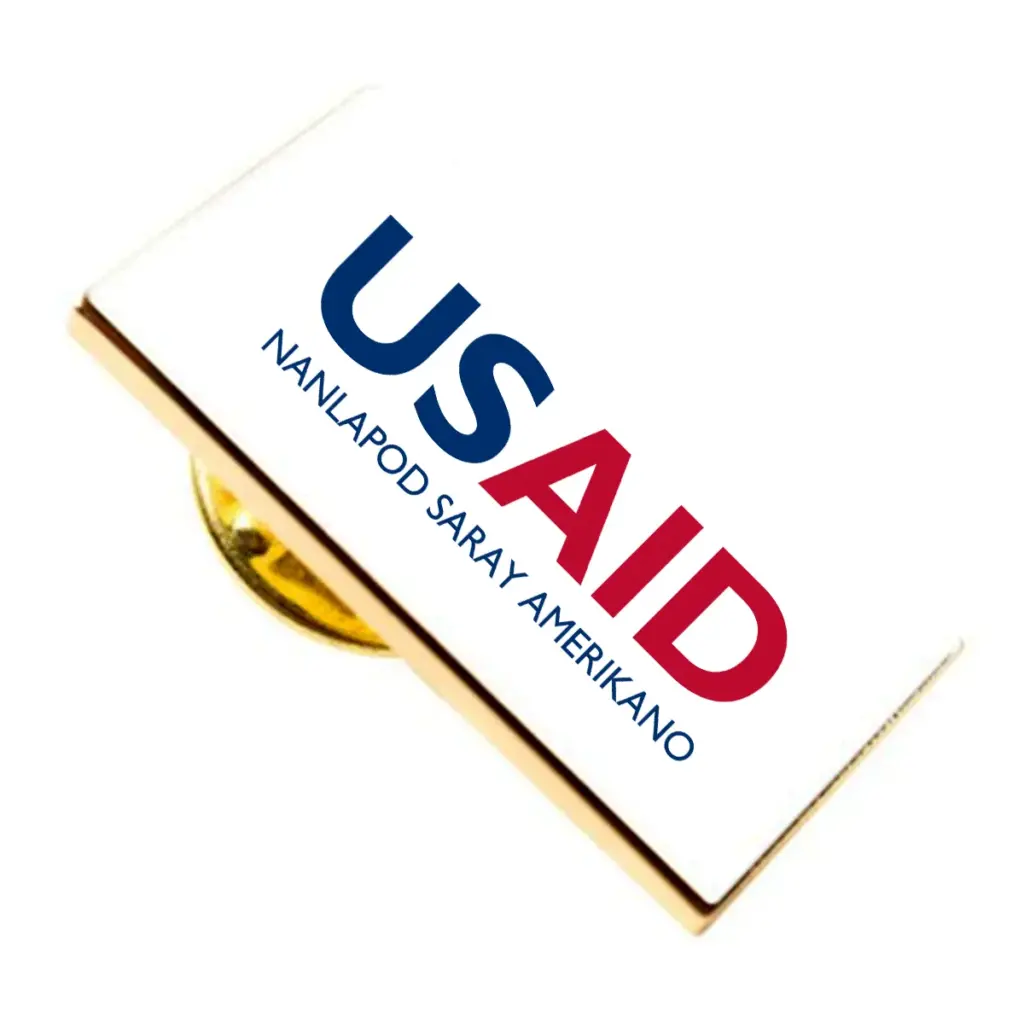 USAID Pangasinense Brandmark Lapel Pins with Military Clutch Rectangular Min 100 pcs