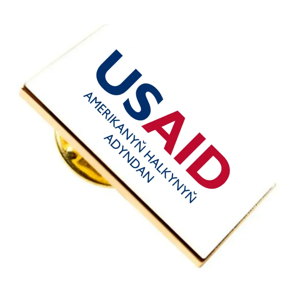 USAID Turkmen Brandmark Lapel Pins with Military Clutch Rectangular Min 100 pcs