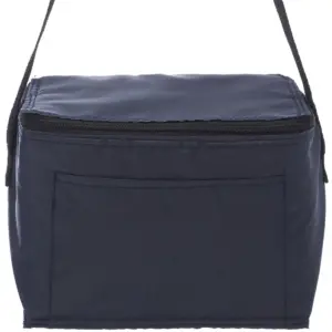 USAID Khmer - 6 Pack Cooler Lunch Bag