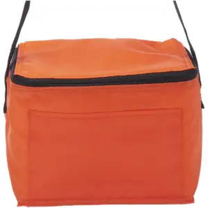 USAID Khmer - 6 Pack Cooler Lunch Bag
