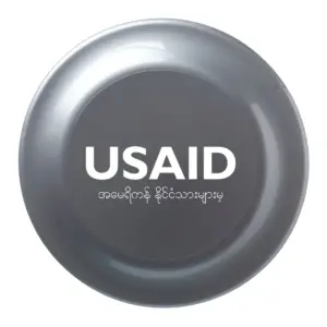 USAID Burmese - 9.25 In. Solid Color Flying Discs
