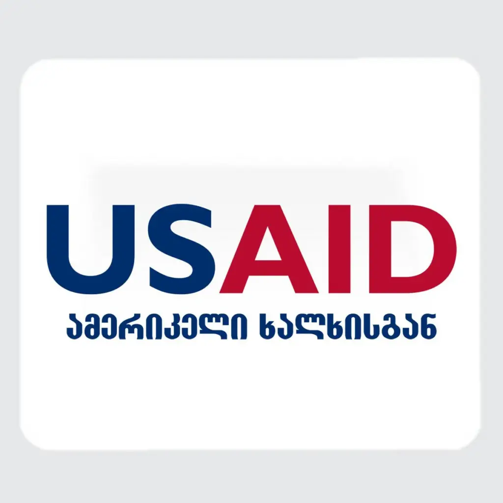 USAID Georgian - Large Rectangle Full Color Mouse Pads (9.25"x7.75"x0.625)