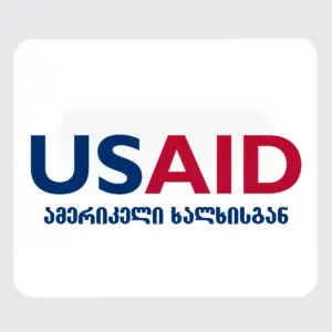 USAID Georgian - Large Rectangle Full Color Mouse Pads (9.25"x7.75"x0.625)