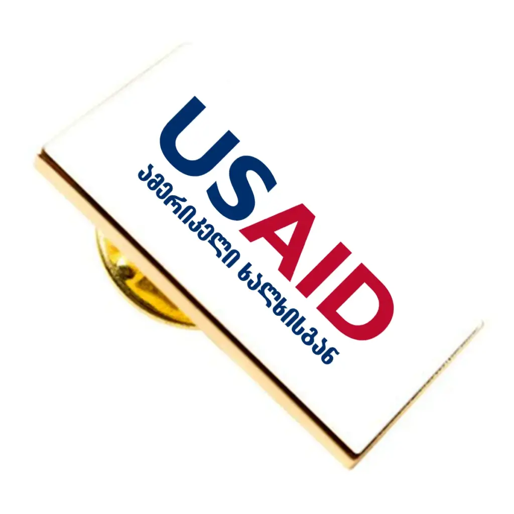 USAID Georgian Brandmark Lapel Pins with Military Clutch Rectangular Min 100 pcs
