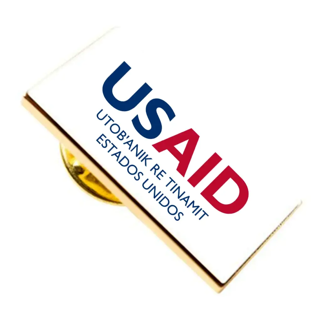 USAID Kiche Brandmark Lapel Pins with Military Clutch Rectangular Min 100 pcs