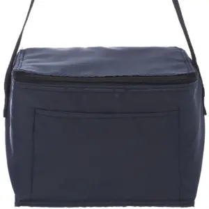 USAID English - 6 Pack Cooler Lunch Bag