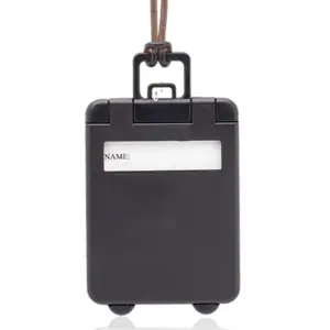 USAID English - Mini Carry On Luggage Tags