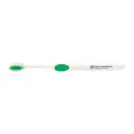 winter accent toothbrush