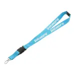 hang in there lanyard