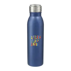 vida 24oz stainless steel bottle