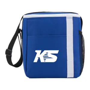 accent recycled 12 can lunch cooler